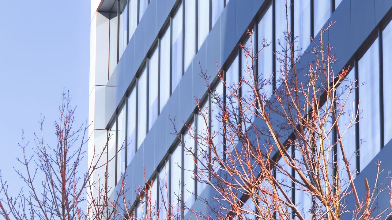 Wallpaper building, architecture, windows, trees, branches
