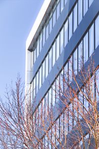 Preview wallpaper building, architecture, windows, trees, branches