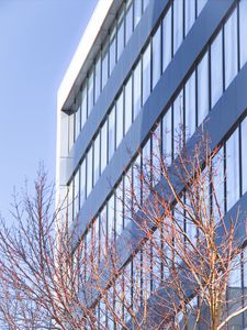 Preview wallpaper building, architecture, windows, trees, branches