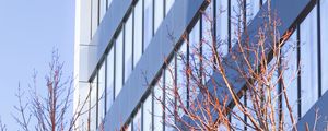 Preview wallpaper building, architecture, windows, trees, branches