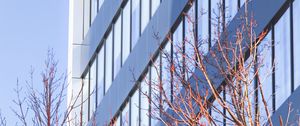 Preview wallpaper building, architecture, windows, trees, branches