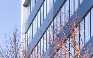 Preview wallpaper building, architecture, windows, trees, branches