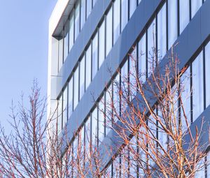 Preview wallpaper building, architecture, windows, trees, branches