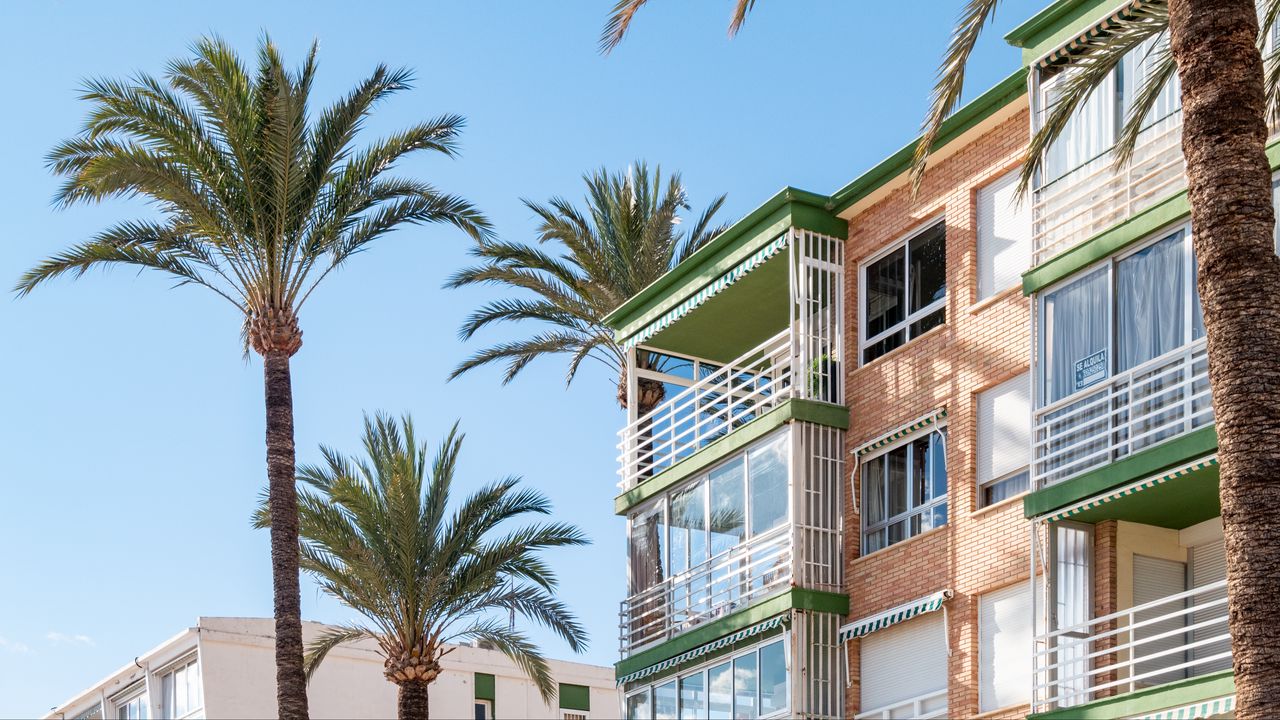 Wallpaper building, balconies, palm tree, sky