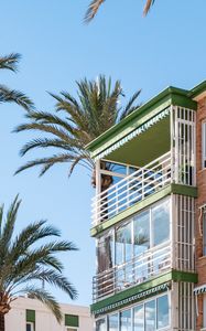 Preview wallpaper building, balconies, palm tree, sky