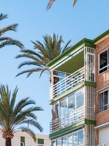 Preview wallpaper building, balconies, palm tree, sky