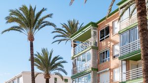 Preview wallpaper building, balconies, palm tree, sky