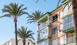 Preview wallpaper building, balconies, palm tree, sky