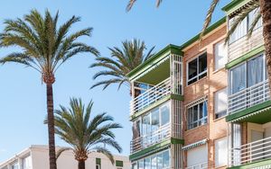 Preview wallpaper building, balconies, palm tree, sky