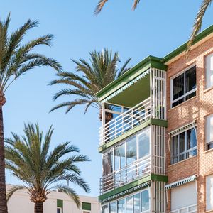 Preview wallpaper building, balconies, palm tree, sky