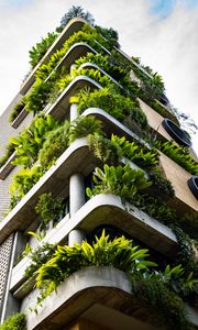 Preview wallpaper building, balconies, plant, architecture