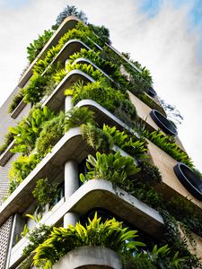 Preview wallpaper building, balconies, plant, architecture