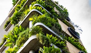 Preview wallpaper building, balconies, plant, architecture