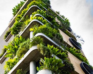 Preview wallpaper building, balconies, plant, architecture