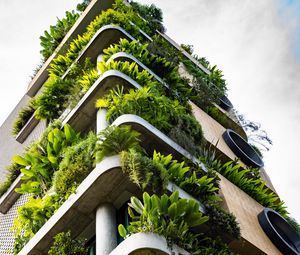 Preview wallpaper building, balconies, plant, architecture