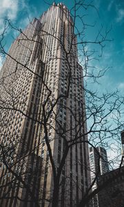 Preview wallpaper building, bottom view, branches, city