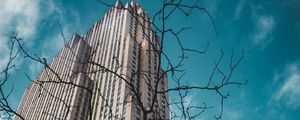 Preview wallpaper building, bottom view, branches, city