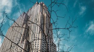 Preview wallpaper building, bottom view, branches, city