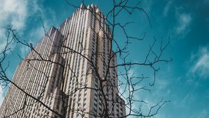 Preview wallpaper building, bottom view, branches, city