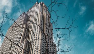 Preview wallpaper building, bottom view, branches, city