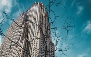 Preview wallpaper building, bottom view, branches, city