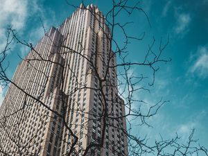 Preview wallpaper building, bottom view, branches, city