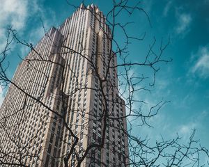 Preview wallpaper building, bottom view, branches, city