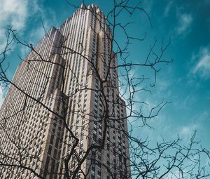 Preview wallpaper building, bottom view, branches, city