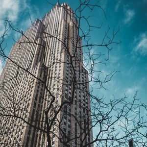 Preview wallpaper building, bottom view, branches, city