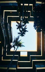 Preview wallpaper building, bottom view, palm tree, sky