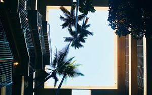 Preview wallpaper building, bottom view, palm tree, sky