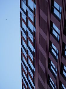 Preview wallpaper building, bottom view, windows, facade