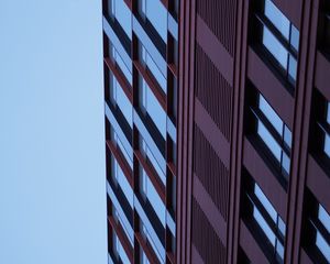 Preview wallpaper building, bottom view, windows, facade