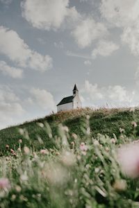 Preview wallpaper building, church, hill, flowers, grass