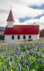 Preview wallpaper building, church, roof, lavender, flowers, field