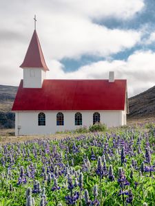 Preview wallpaper building, church, roof, lavender, flowers, field