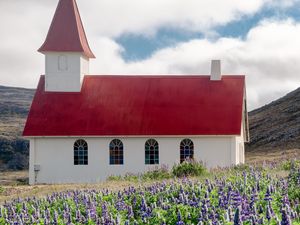 Preview wallpaper building, church, roof, lavender, flowers, field