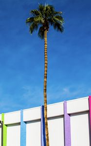 Preview wallpaper building, colorful, palm tree, minimalism