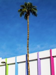 Preview wallpaper building, colorful, palm tree, minimalism