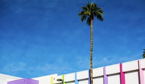 Preview wallpaper building, colorful, palm tree, minimalism