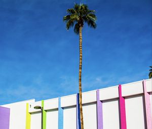 Preview wallpaper building, colorful, palm tree, minimalism