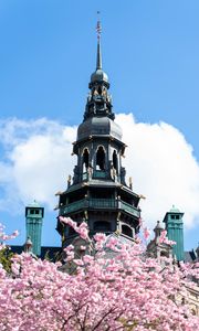 Preview wallpaper building, dome, architecture, sakura, flowers