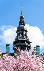 Preview wallpaper building, dome, architecture, sakura, flowers