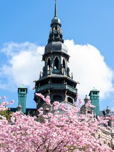 Preview wallpaper building, dome, architecture, sakura, flowers