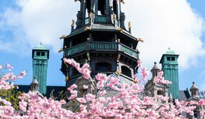 Preview wallpaper building, dome, architecture, sakura, flowers