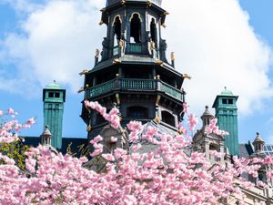 Preview wallpaper building, dome, architecture, sakura, flowers