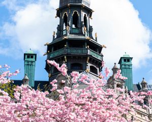 Preview wallpaper building, dome, architecture, sakura, flowers