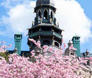 Preview wallpaper building, dome, architecture, sakura, flowers