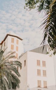 Preview wallpaper building, facade, architecture, white, palm trees