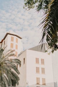 Preview wallpaper building, facade, architecture, white, palm trees